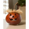 Alex Miniature Gourd
