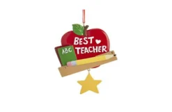 Best Teacher'S Apple