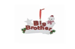 Big Brother