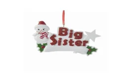 Big Sister