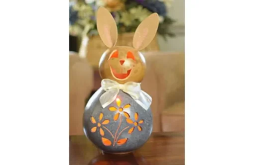 Carter Bunny