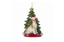 Cavalier King Charles