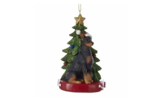 Doberman
