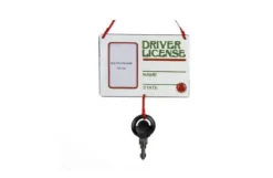 Driver License With Picture