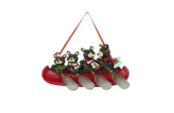 Family Of 4 Bear In A Canoe