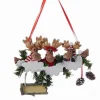 Family Of 3 Moose With Sign