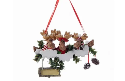 Family Of 3 Moose With Sign