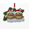 Family Of 2 Owls On Snowy Branch