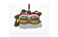 Family Of 2 Owls On Snowy Branch