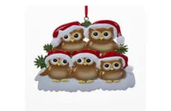 Family Of 5 Owls On Snowy Branch
