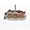Family Of 3 Owls On Snowy Branch
