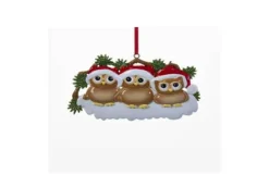 Family Of 3 Owls On Snowy Branch