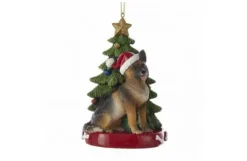 German Shepard