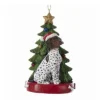 German Short-Haired Pointer