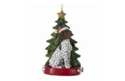 German Short-Haired Pointer