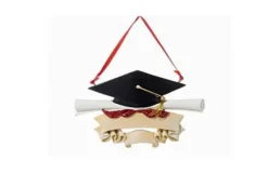 Graduate Cap And Scroll