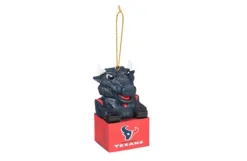 Huston Texans Mini Tiki Ornament