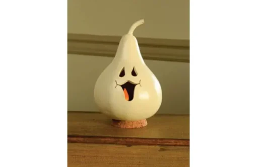Mini Jake