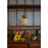 Natalie Miniature Yellow Duck Gourd