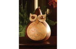 Professor Owl