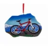 Red Mountain Bike