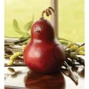 Red Tilly Bird