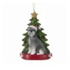 Schnauzer