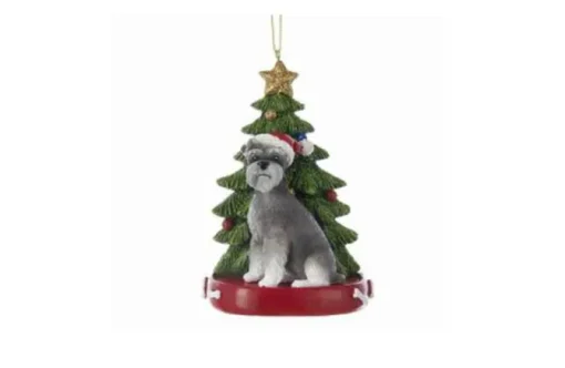 Schnauzer
