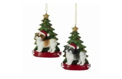 Shih-Tzu